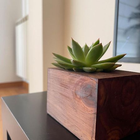Apartamento Nuskis Porriño エクステリア 写真